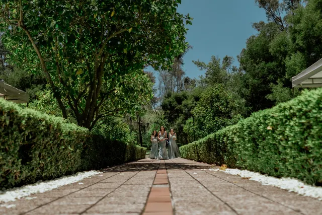 Andy & Juan Carlos, photograph 11